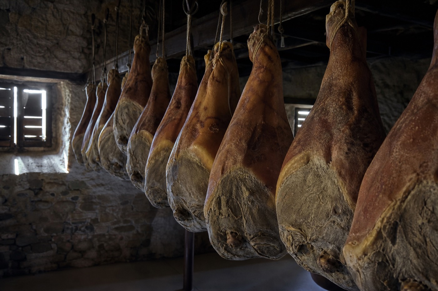 Rows of Prosciutto di Parma legs hanging to cure in a traditional aging chamber near Langhirano