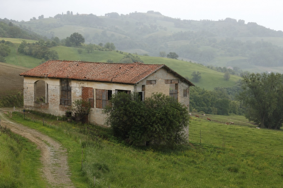 A dairy farm in the Parma countryside
