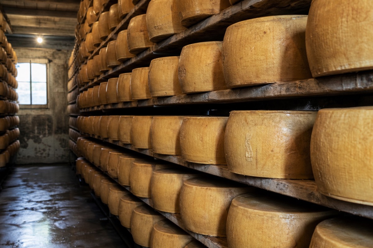Wheels of Parmigiano Reggiano in an aging room