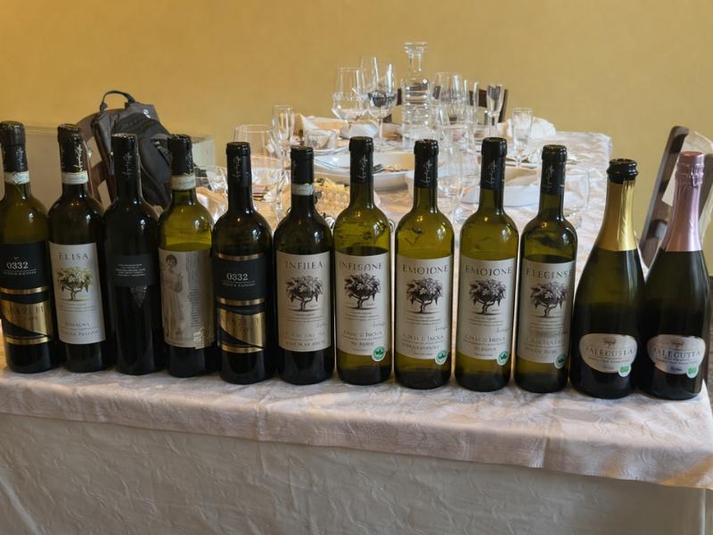 Best Parma Countryside Food & Wine Tasting Tour