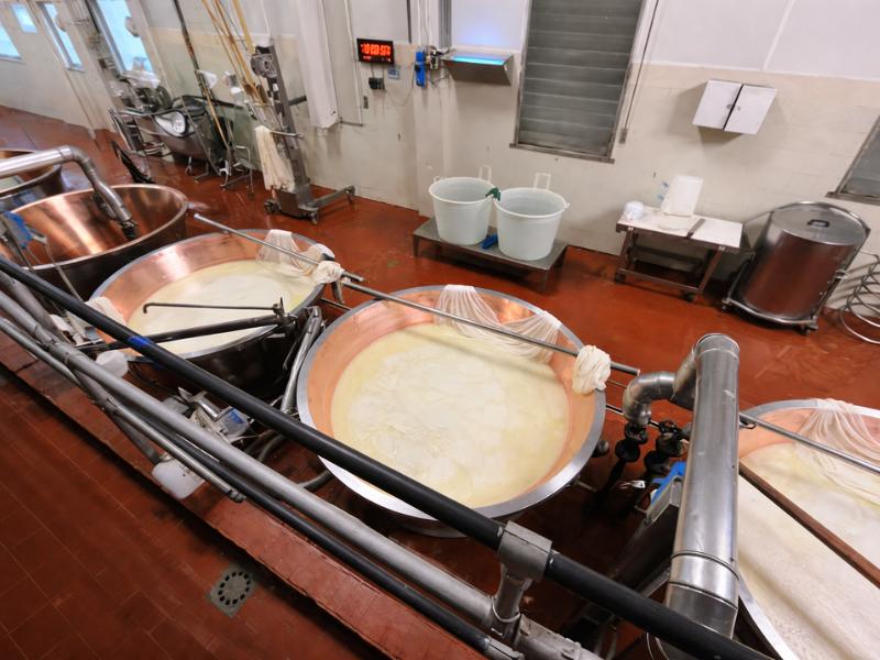 Parma Parmigiano Cheese Factory Visit with Tasting Experience