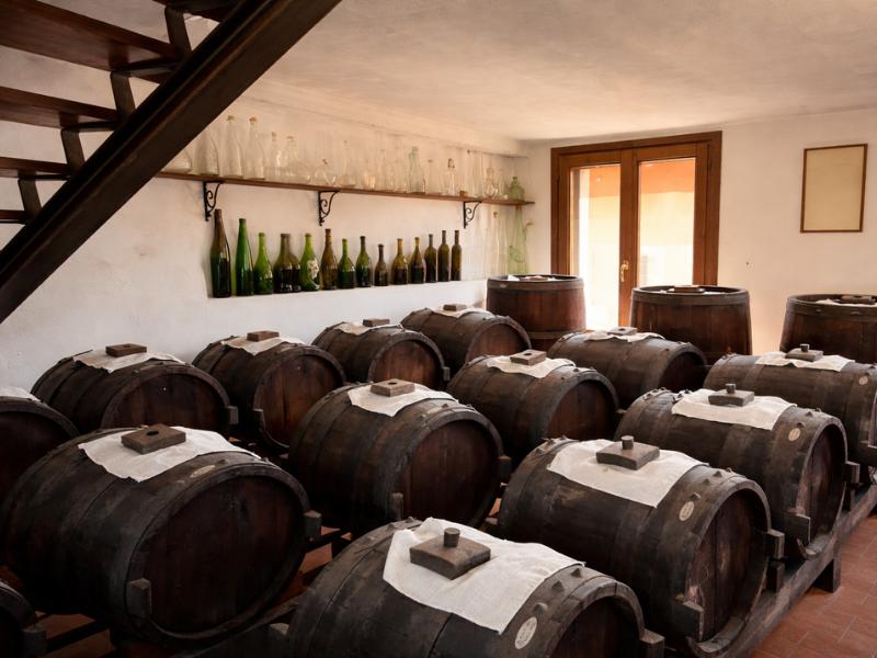 Private Full-Day Parma Food Tour: Parmesan, Parma Ham, Balsamic & Lunch